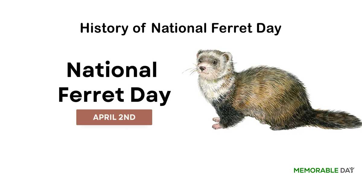 History of National Ferret Day
