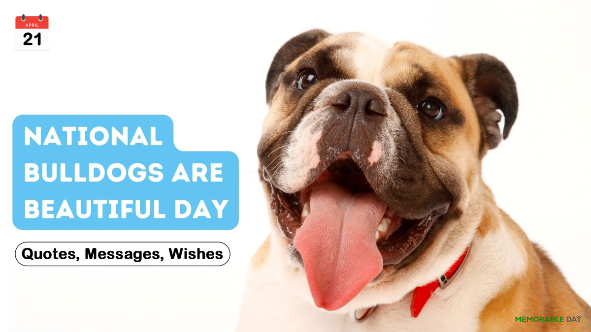 National Bulldogs Are Beautiful Day Quotes, Wishes, Messages