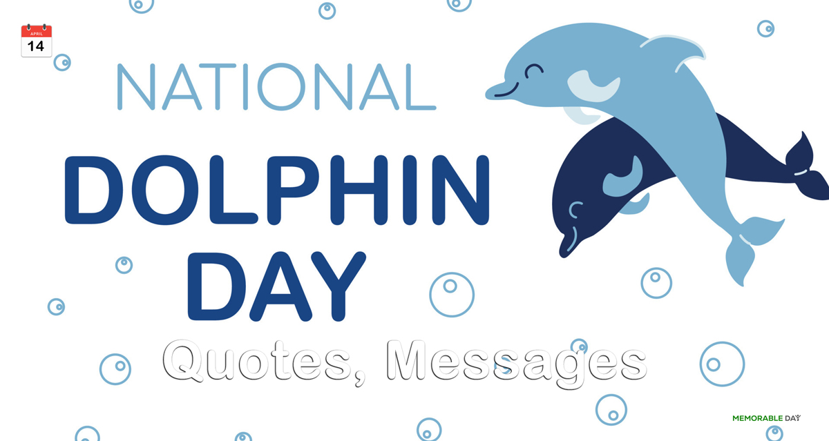 National Dolphin Day Quotes