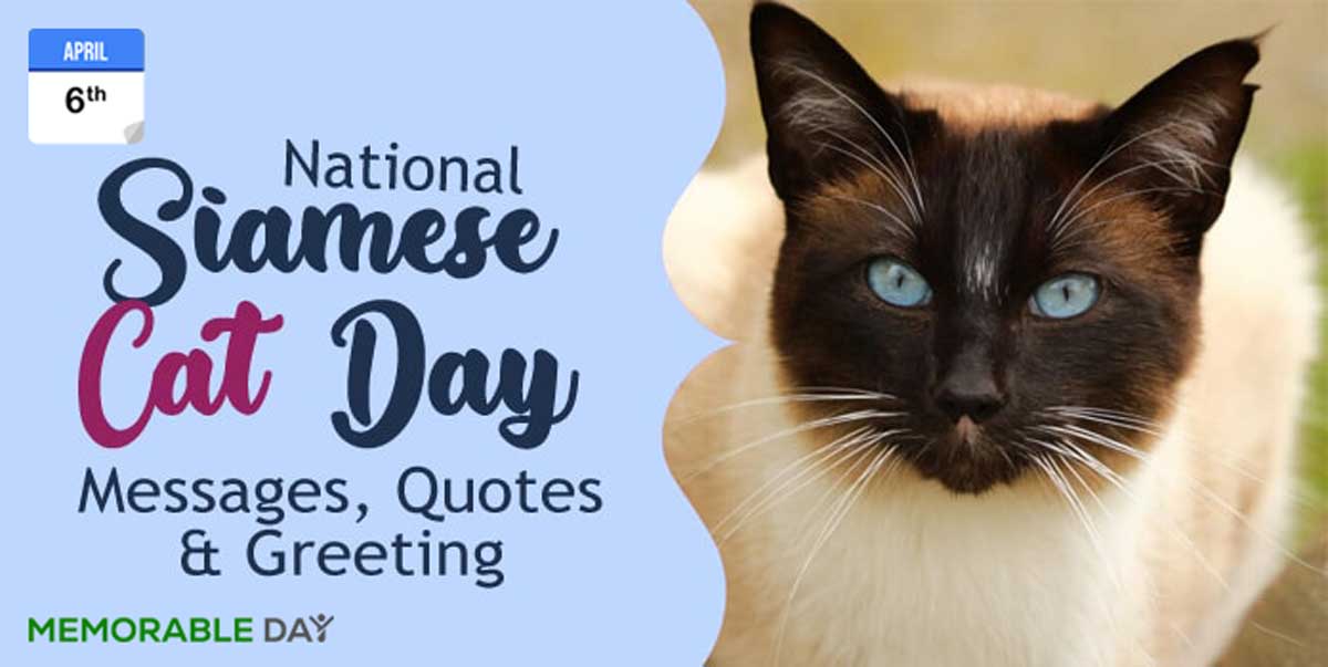 National Siamese Cat Day Quotes