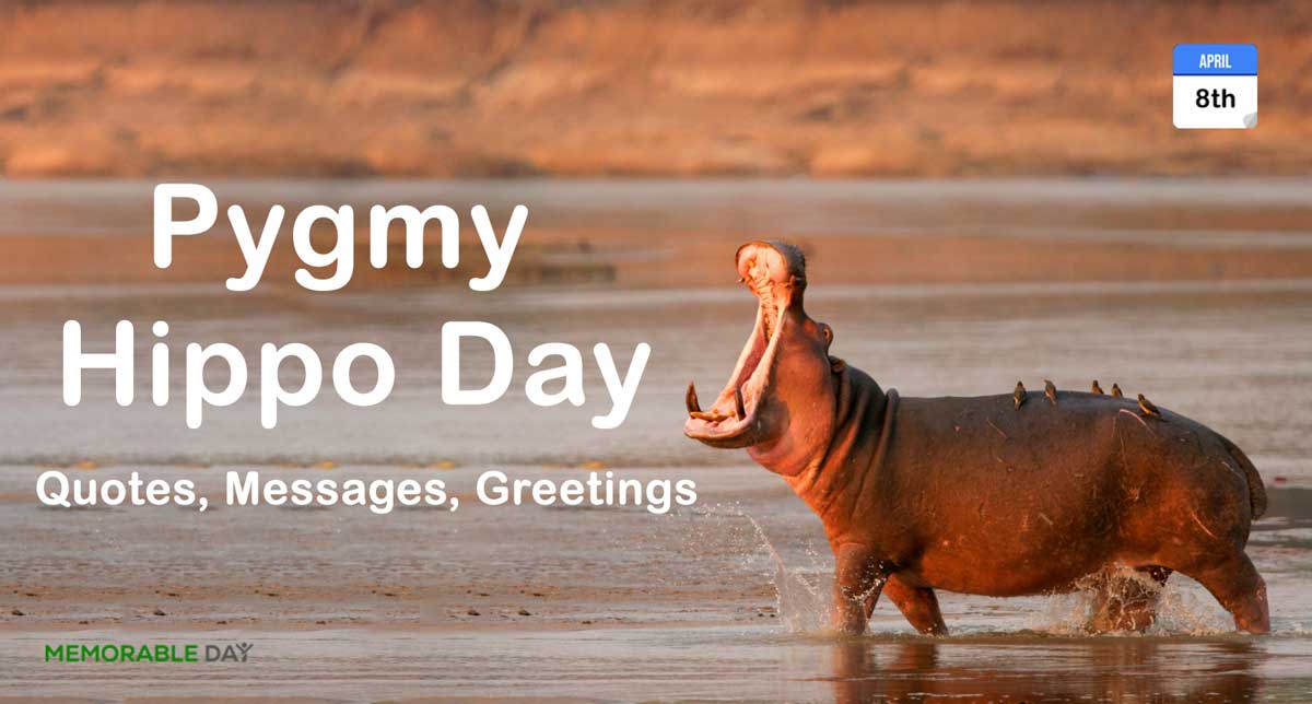 Pygmy Hippo Day Quotes, Messages, Wishes and Greetings