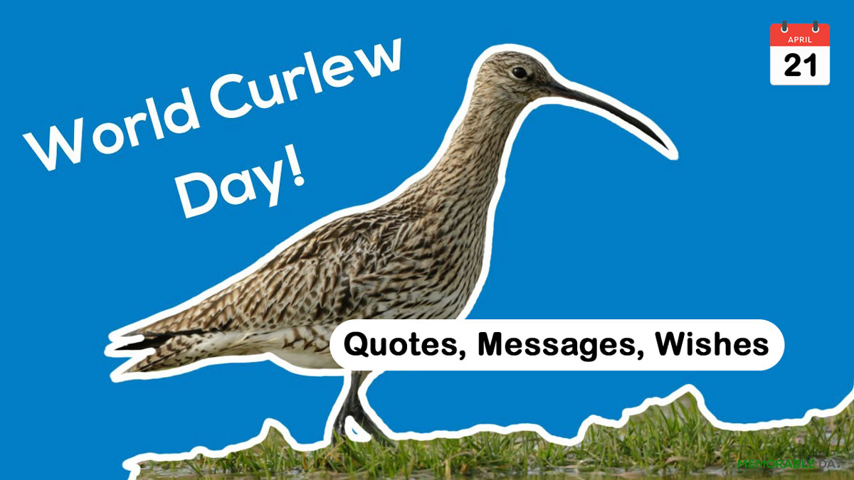 World Curlew Day Quotes, Wishes, Messages