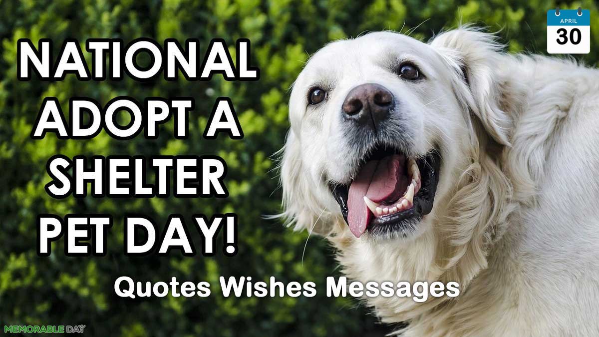 National Adopt A Shelter Pet Day Quotes, Wishes, Messages