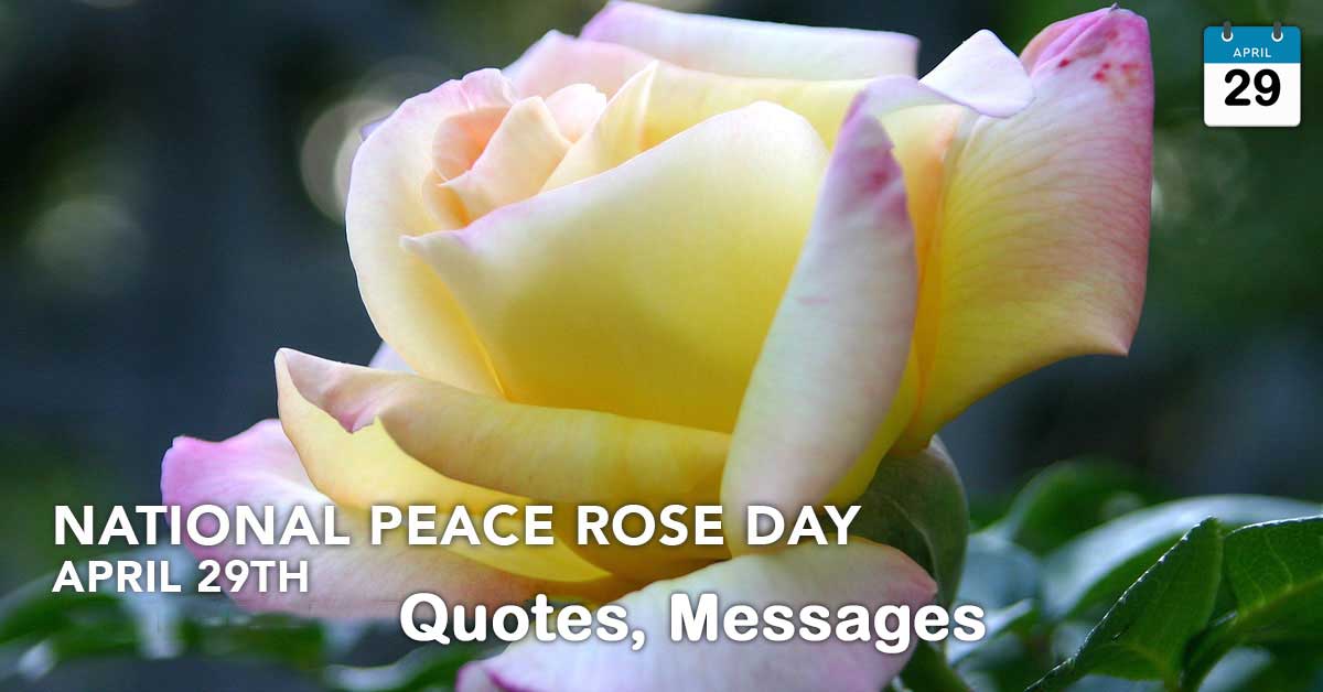 National Peace Rose Day Quotes, Wishes, Messages