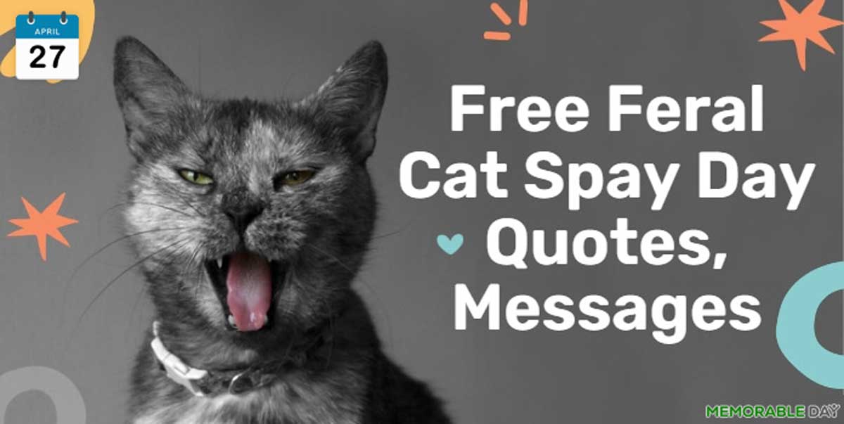 Free Feral Cat Spay Day Quotes