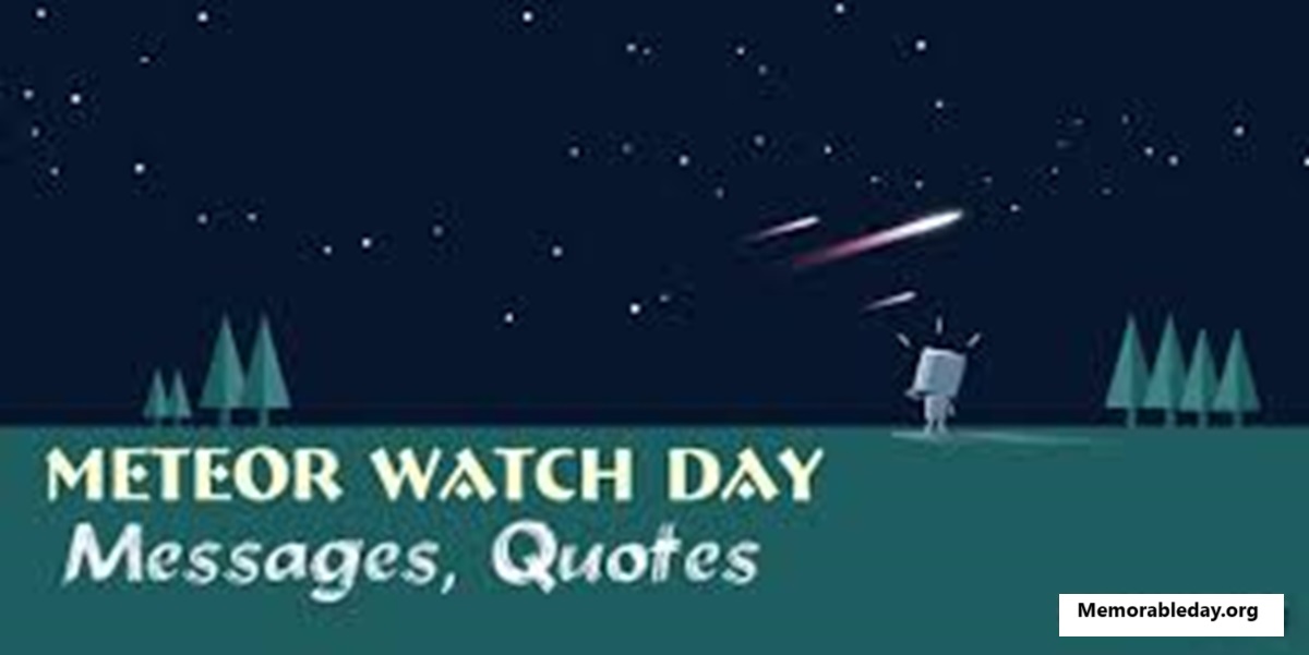 National Meteor Watch Day Quotes pic