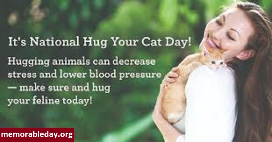 National Hug Your Cat Day Quotes Pic