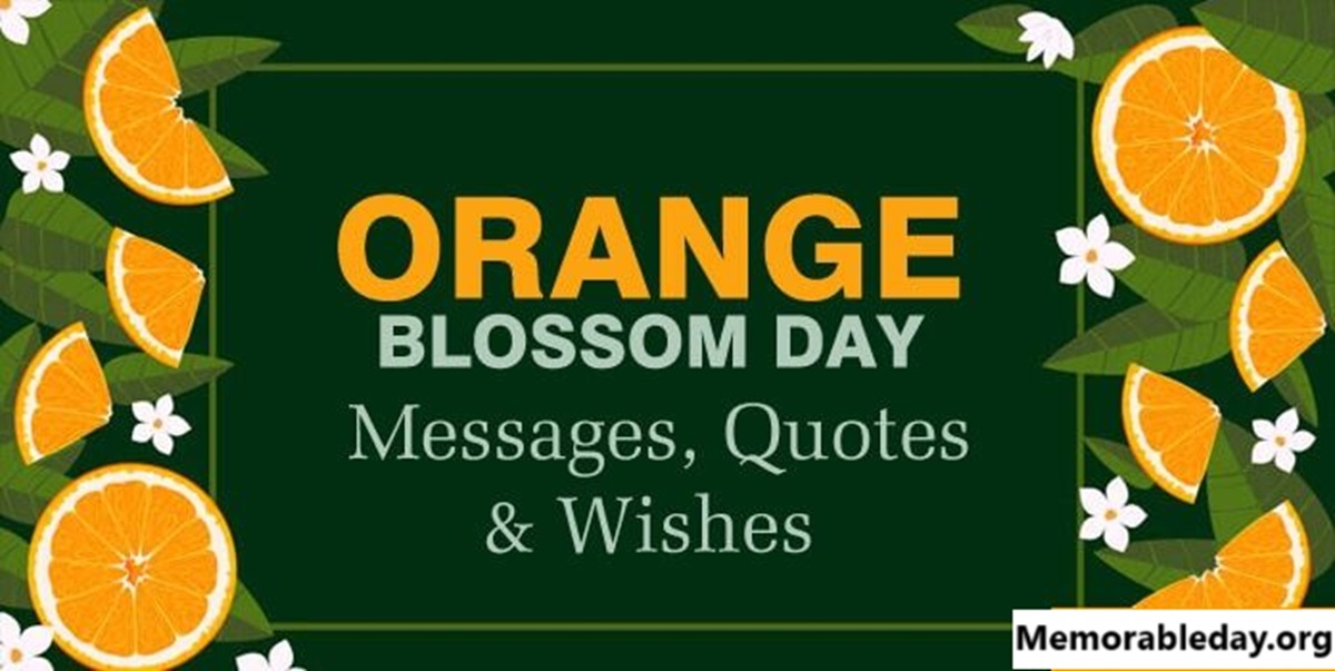 National Orange Blossom Day Quotes pic