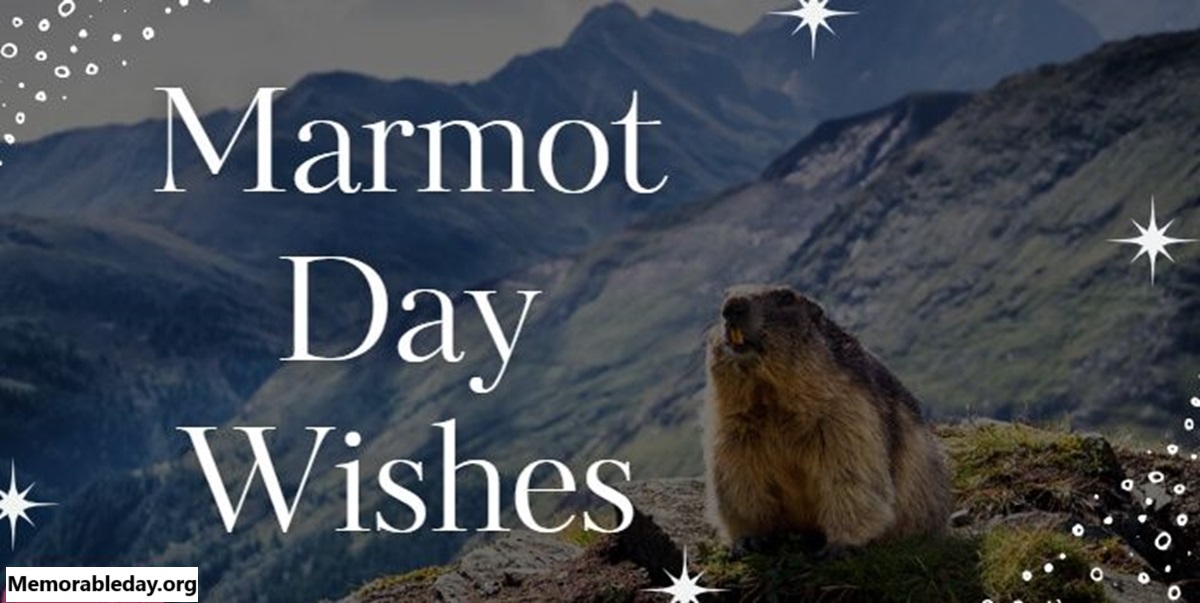 marmot day Quotes pic