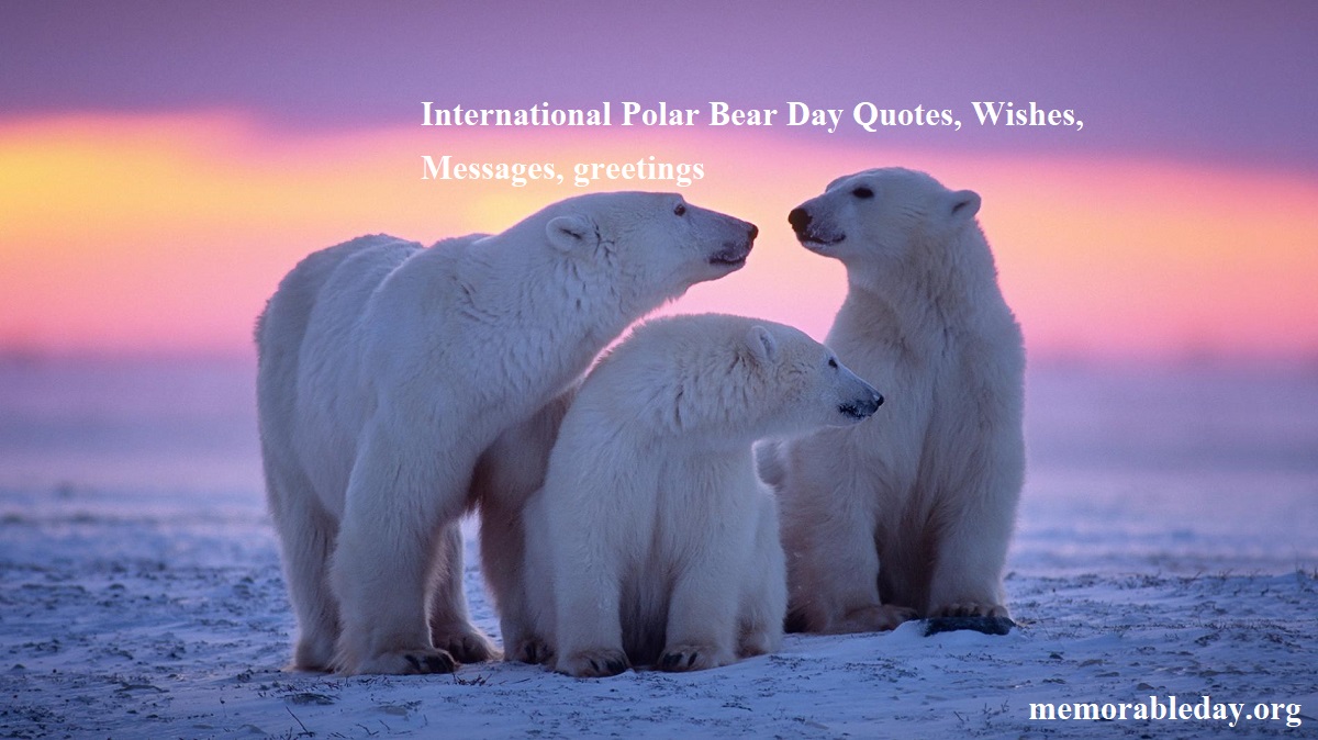 International-Polar-Bear-Day quotes online