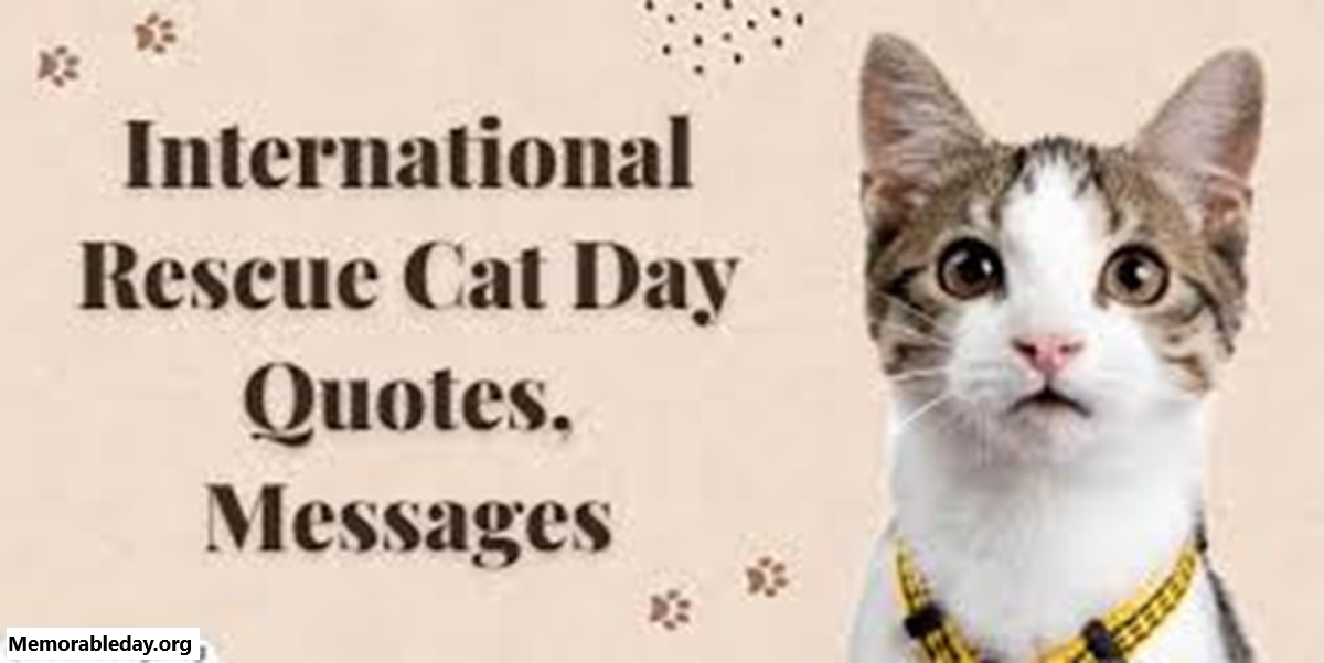 International Rescue Cat Day Quotes pic