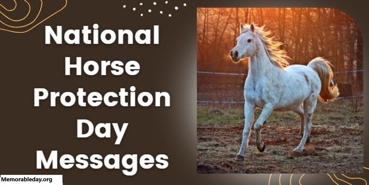 National Horse Protection Day Quotes pic