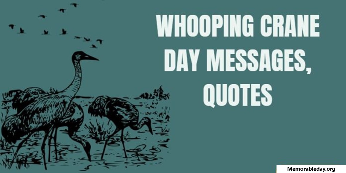 Whooping Crane Festival Quotes pic