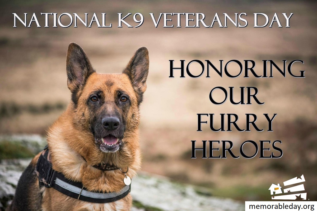 National K9 Veterans Day Quotes Pic