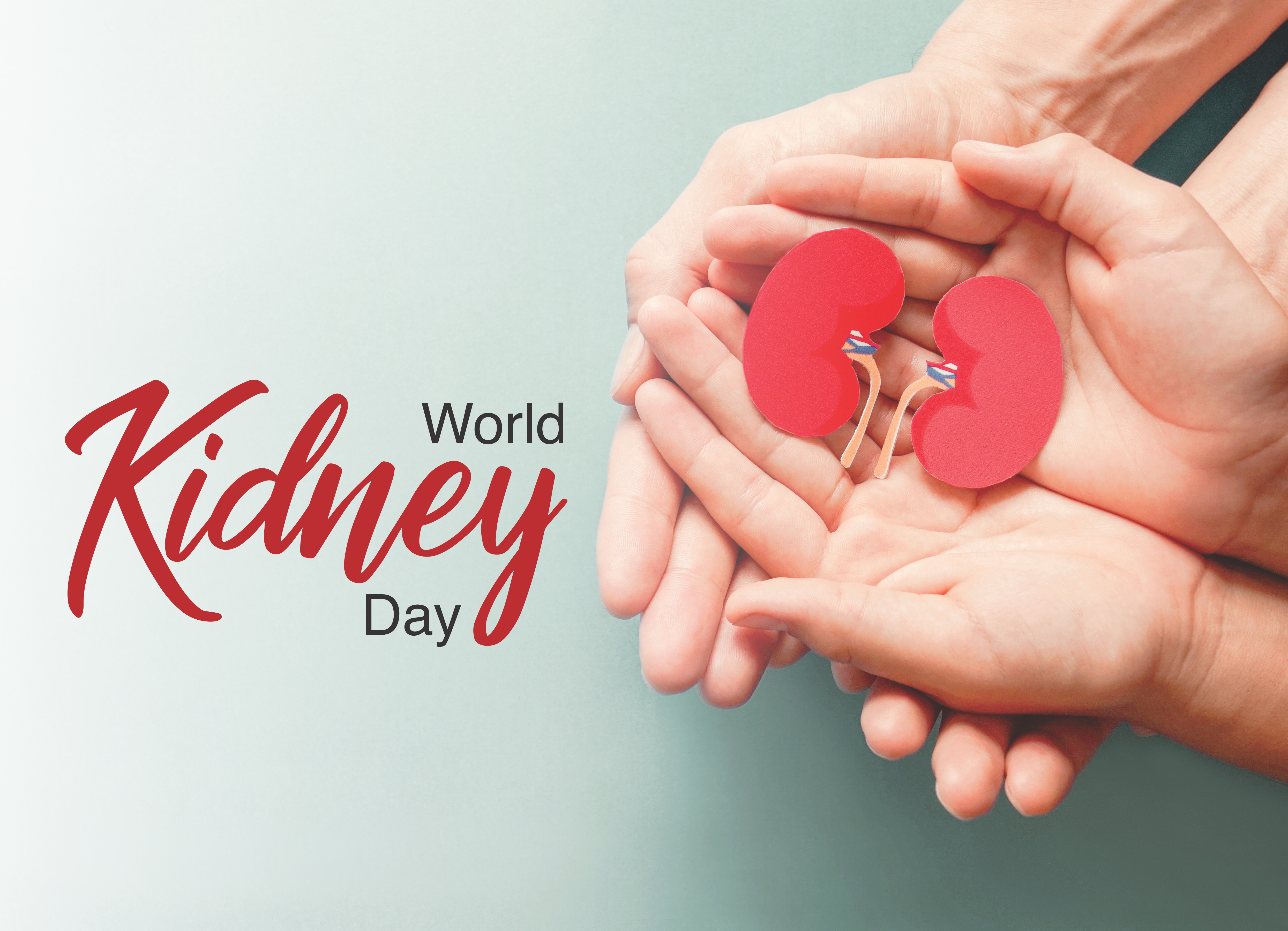 World Kidney Day