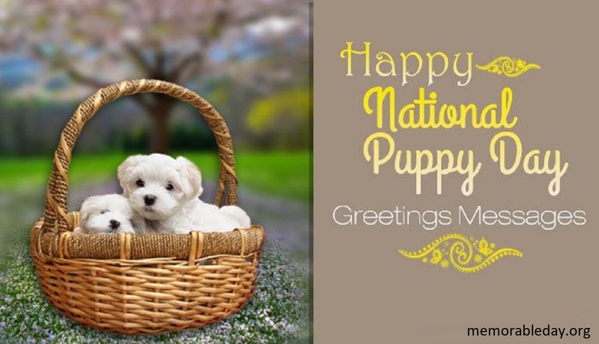 National Puppy Day quotes Pic