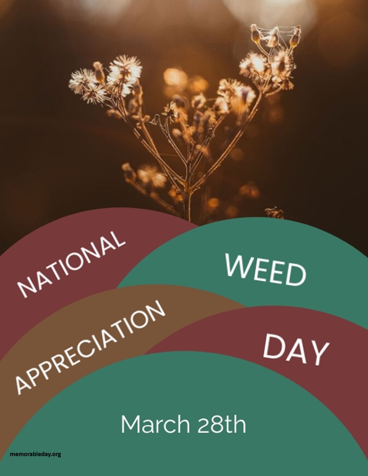 National Weed Appreciation Day Quotes pic