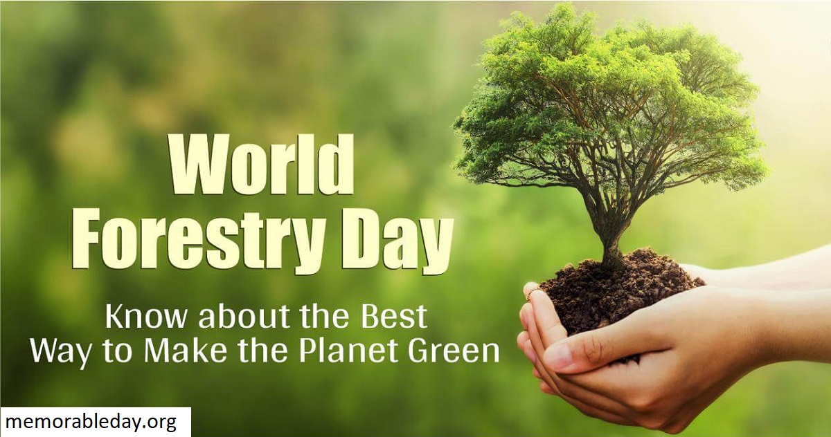 World Forestry Day Quotes Pic