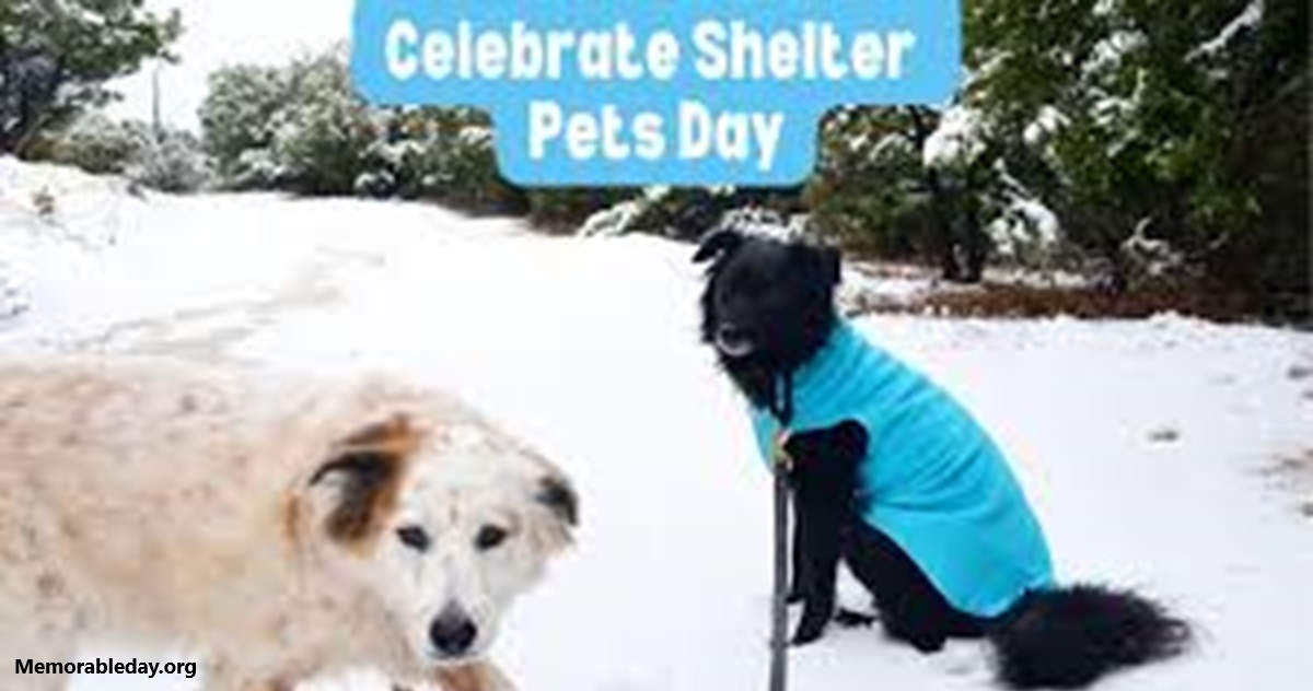 Celebrate Shelter Pets Days