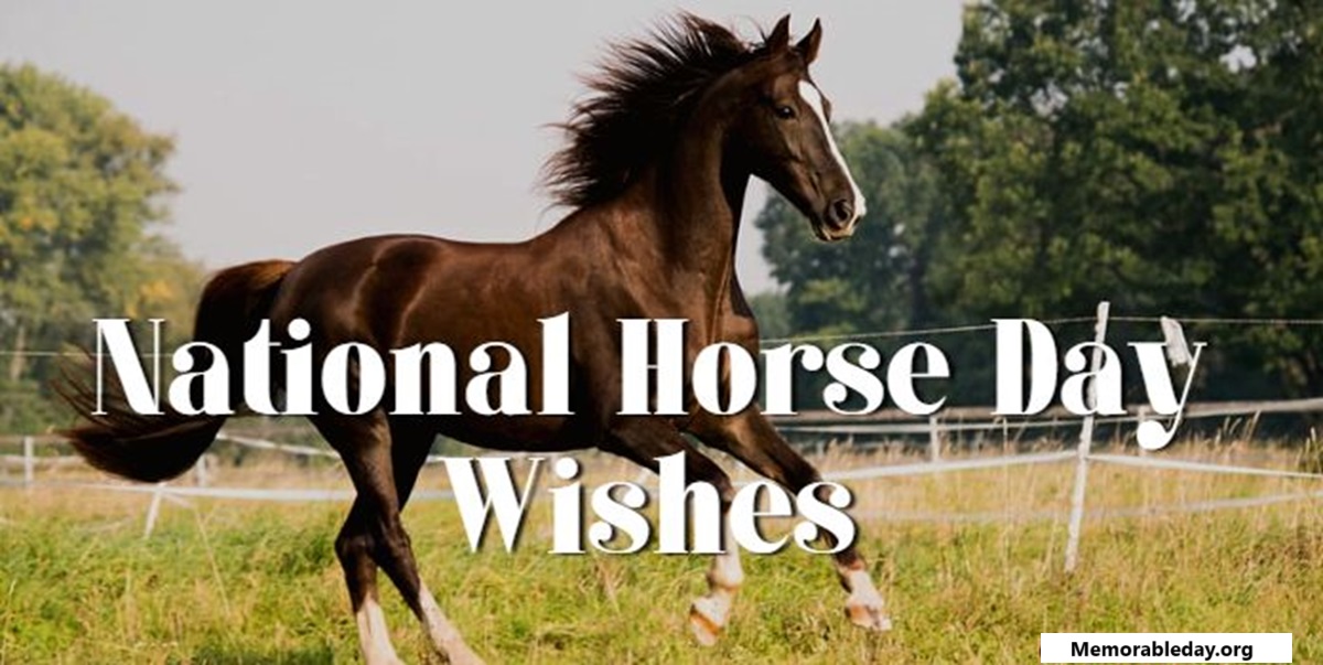 Celebration of the Horse Day Quotes pic