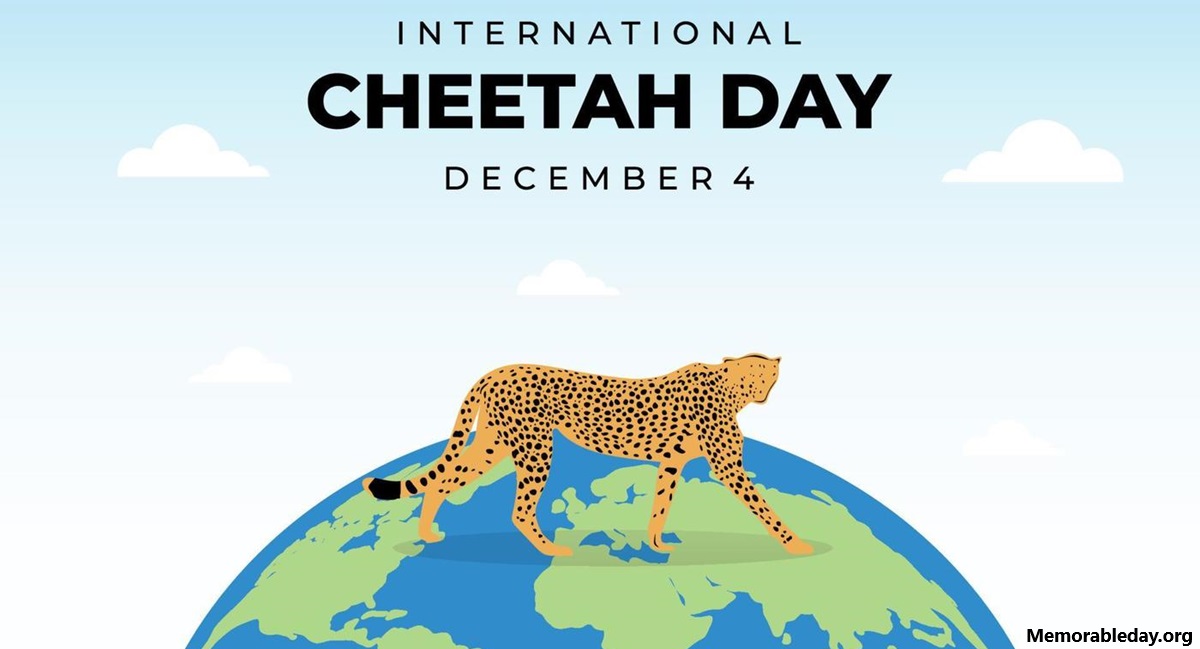 International Cheetah Days