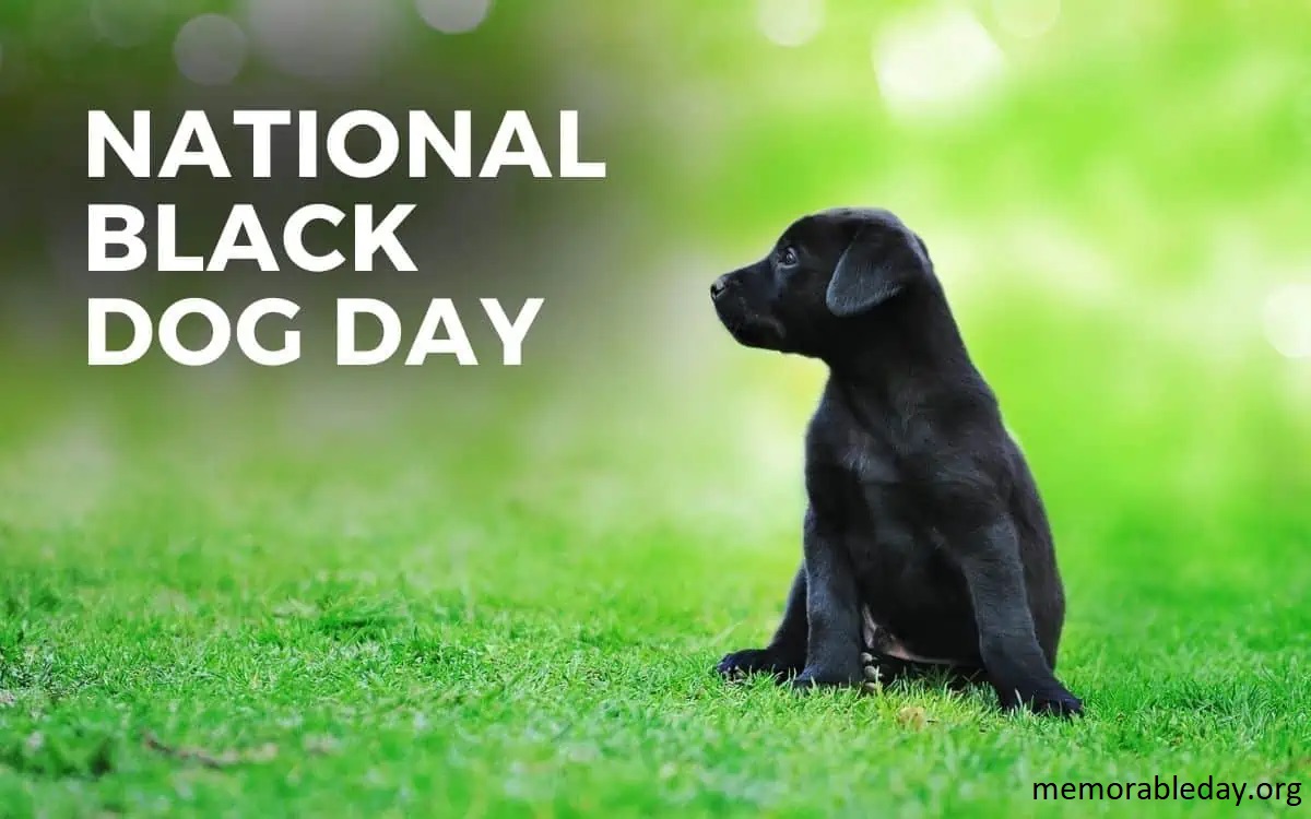 National Black Dog Day Pic