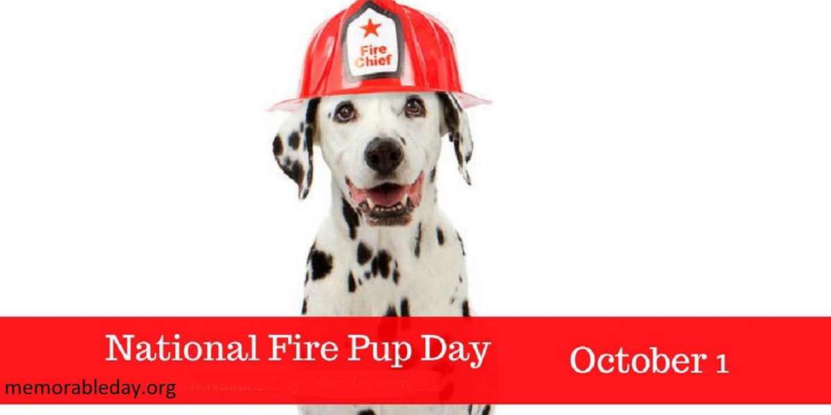 National Fire Pup Day Pic