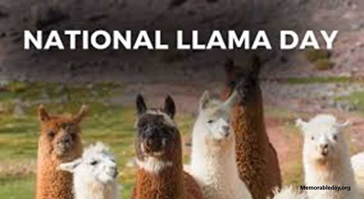 National Llama Days