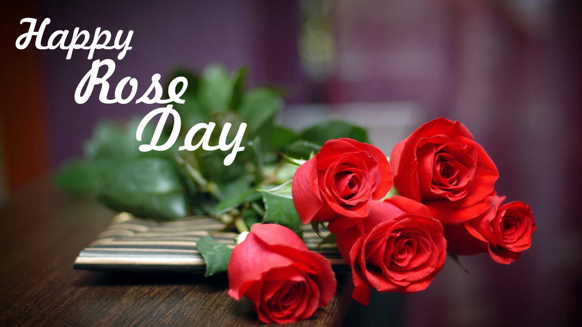 Rose-Day-2025