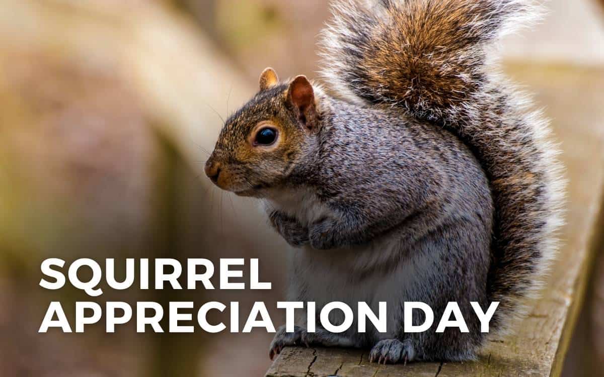 Squirrel Appreciation Day