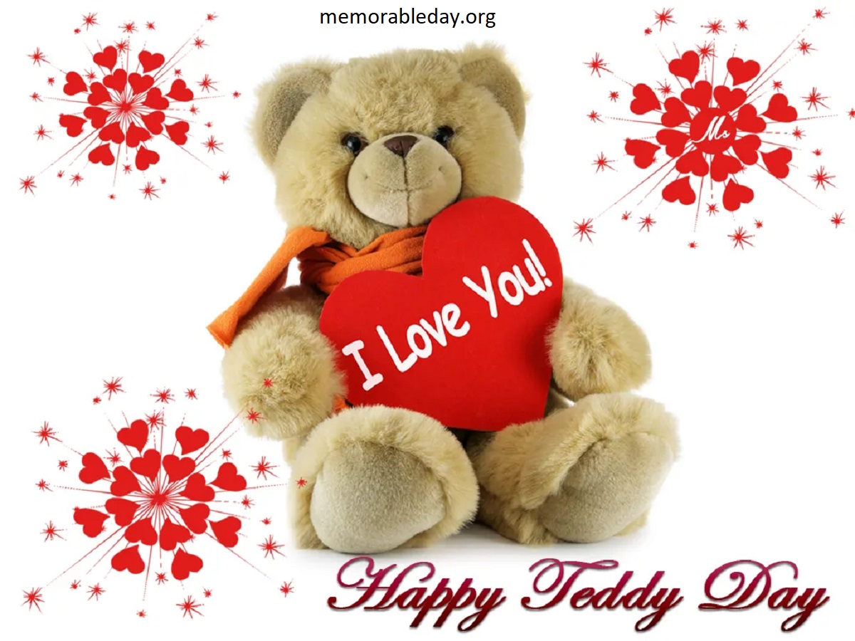 Teddy Day Images