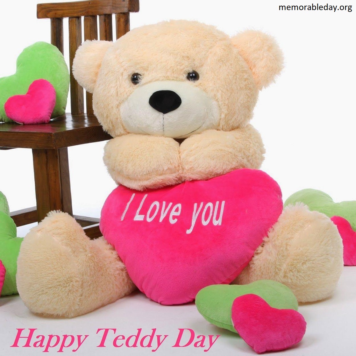 Teddy Day Pic