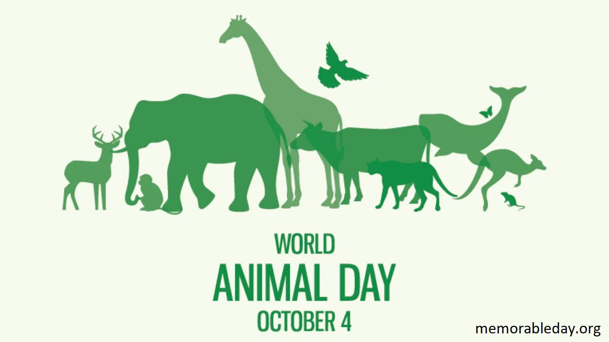 World Animal Day Pic