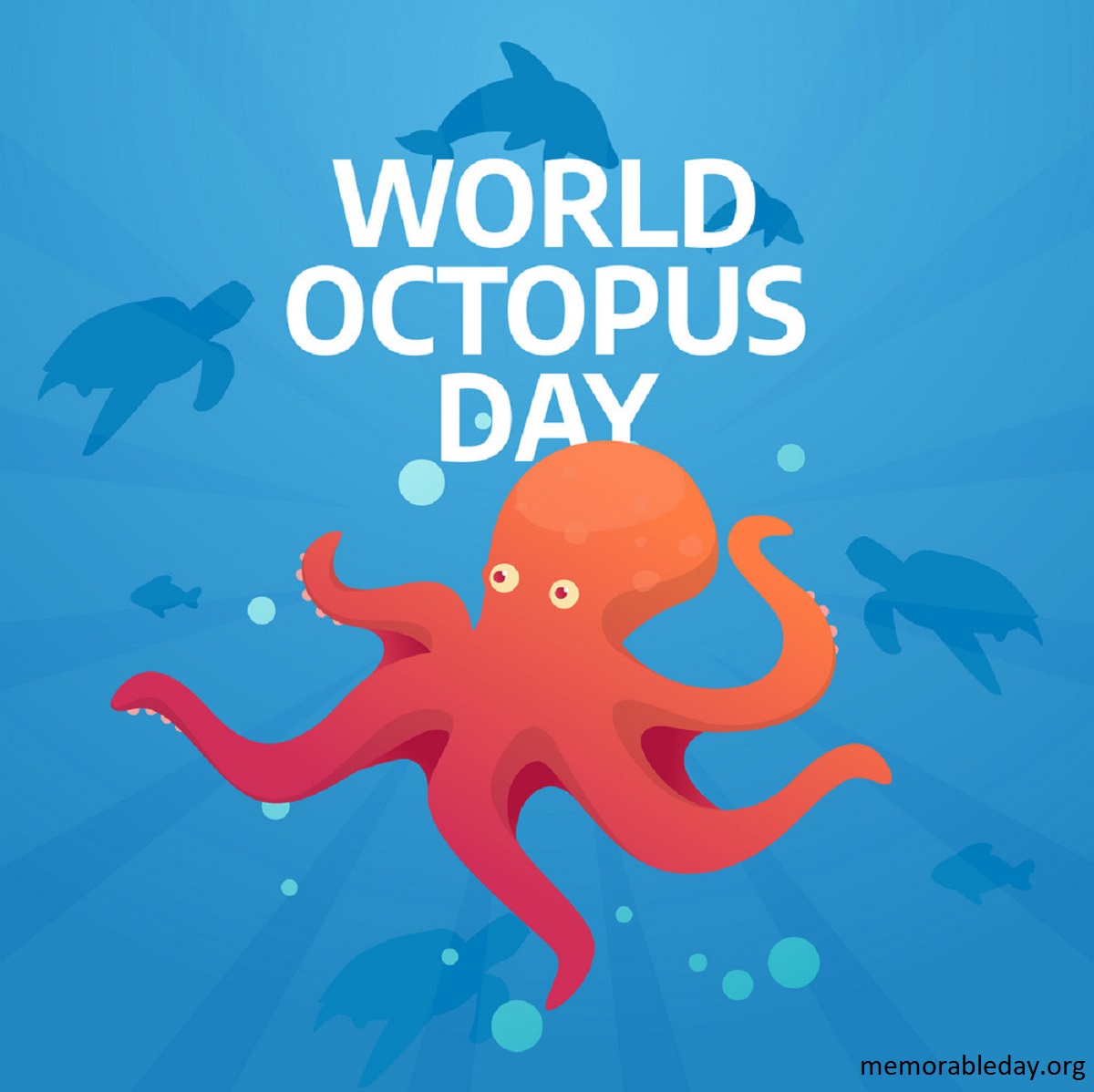 World Octopus Day Pic