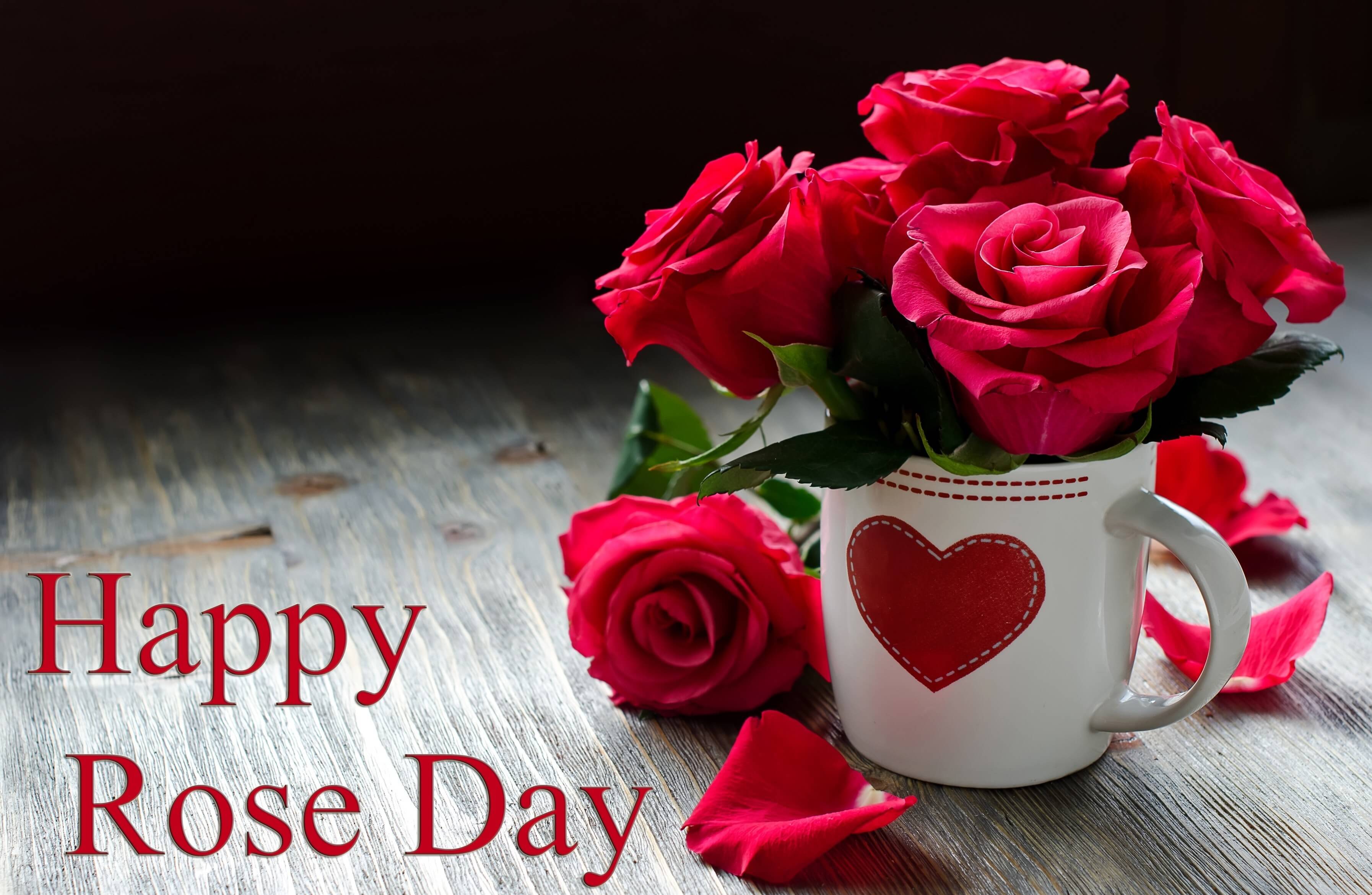 rose day pic