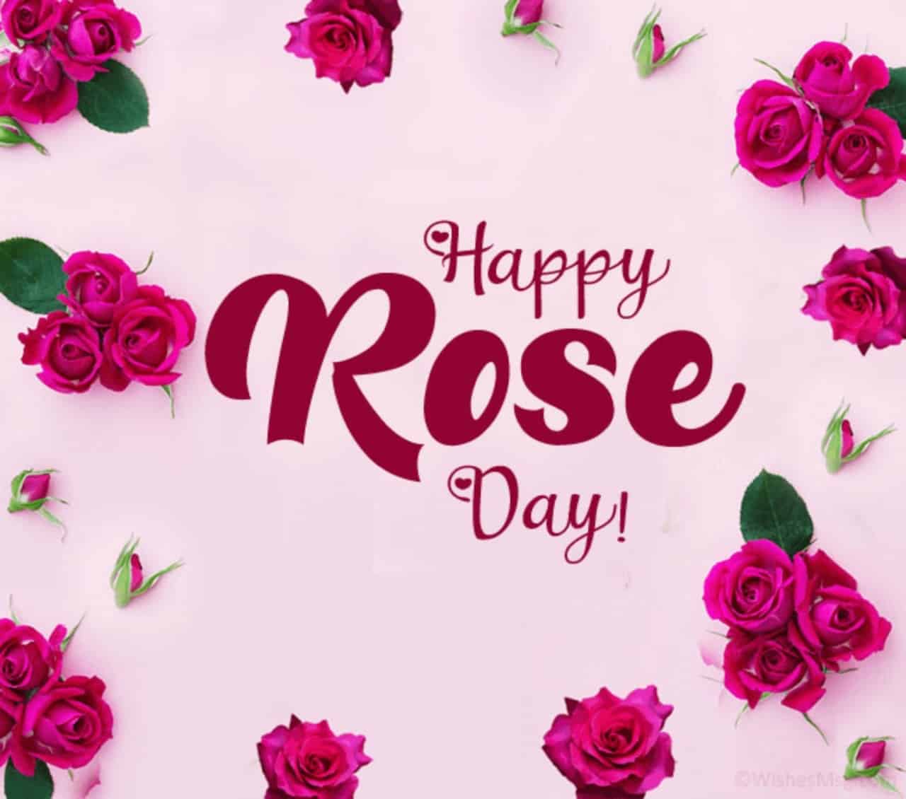 rose day