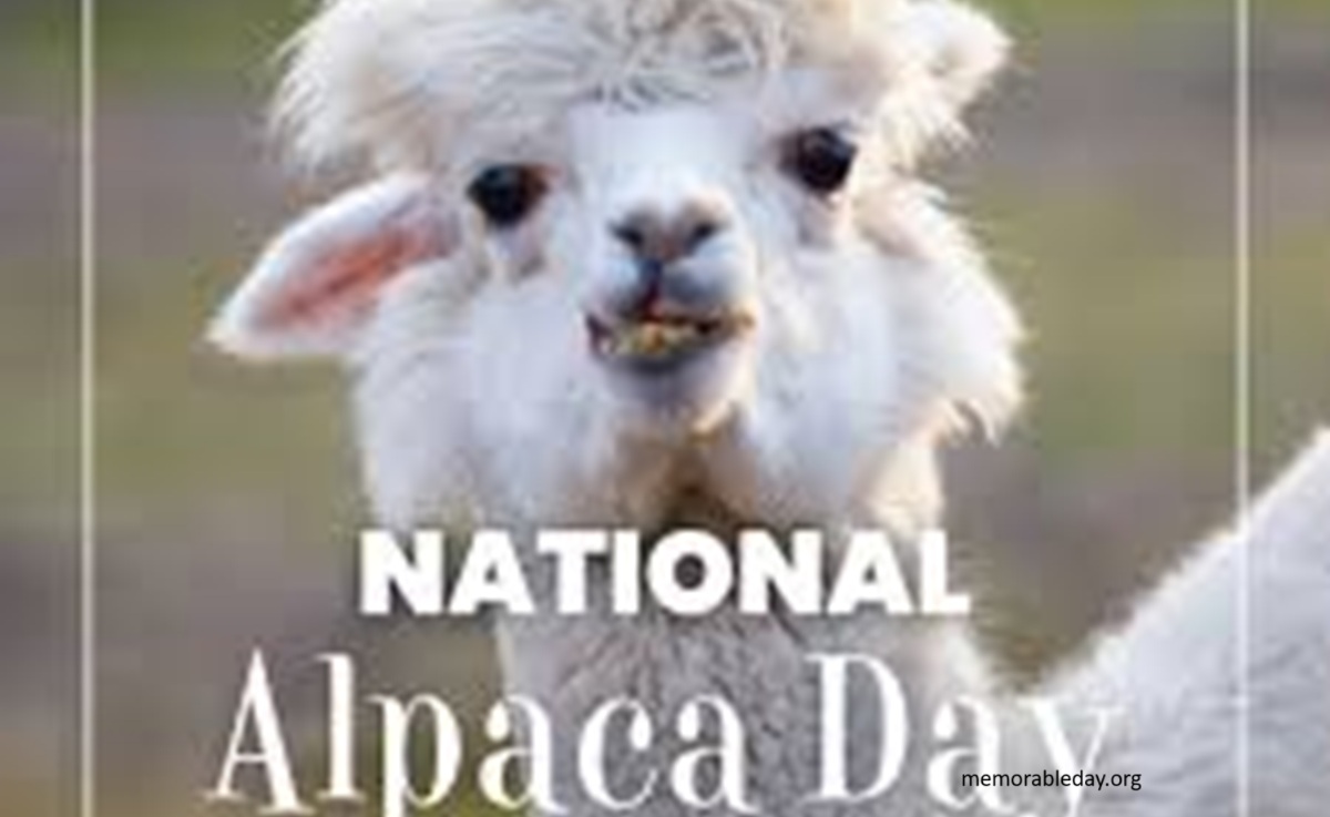 Alpaca Day