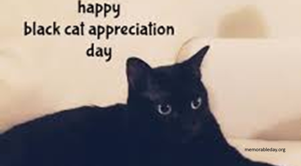 Black Cat Appreciation Day