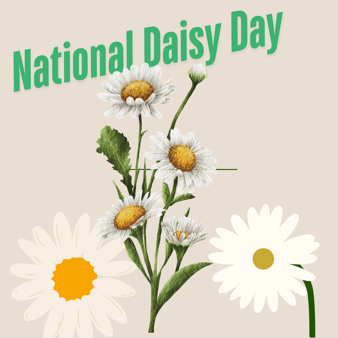 Celebrate National Daisy Day on January 28th!