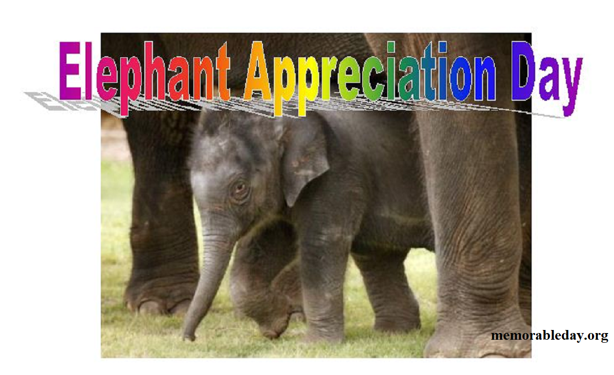 Elephant Appreciation Day