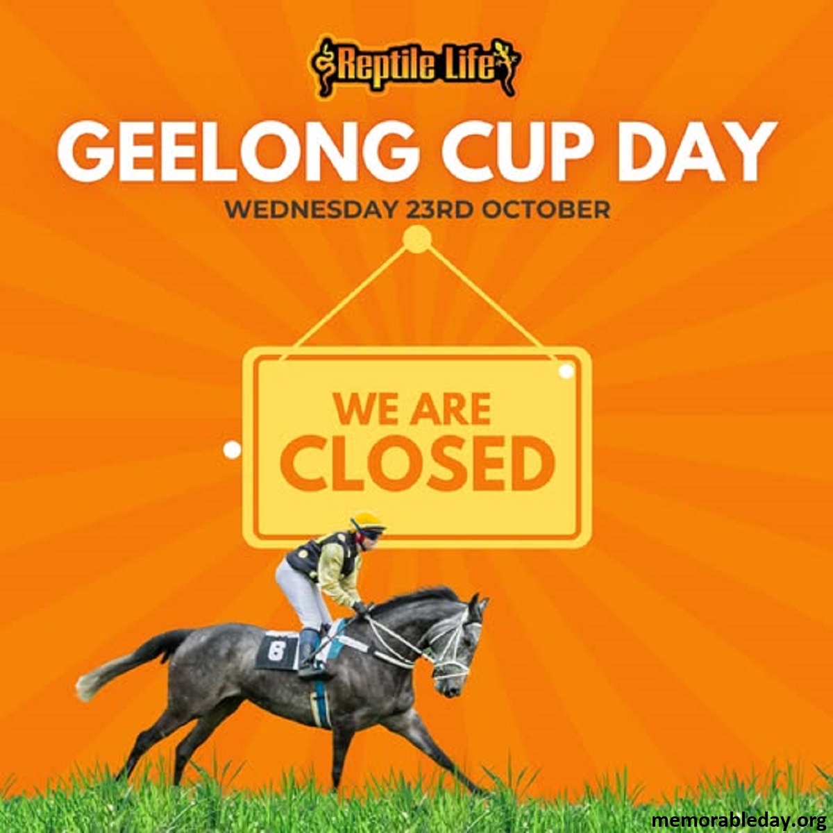 Geelong Cup Day Pic