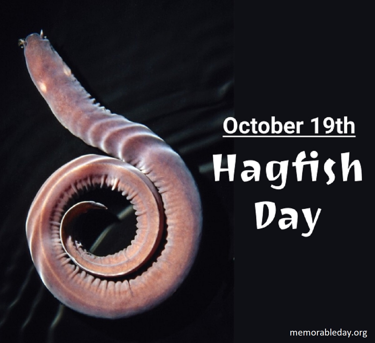 Hagfish Day Pic