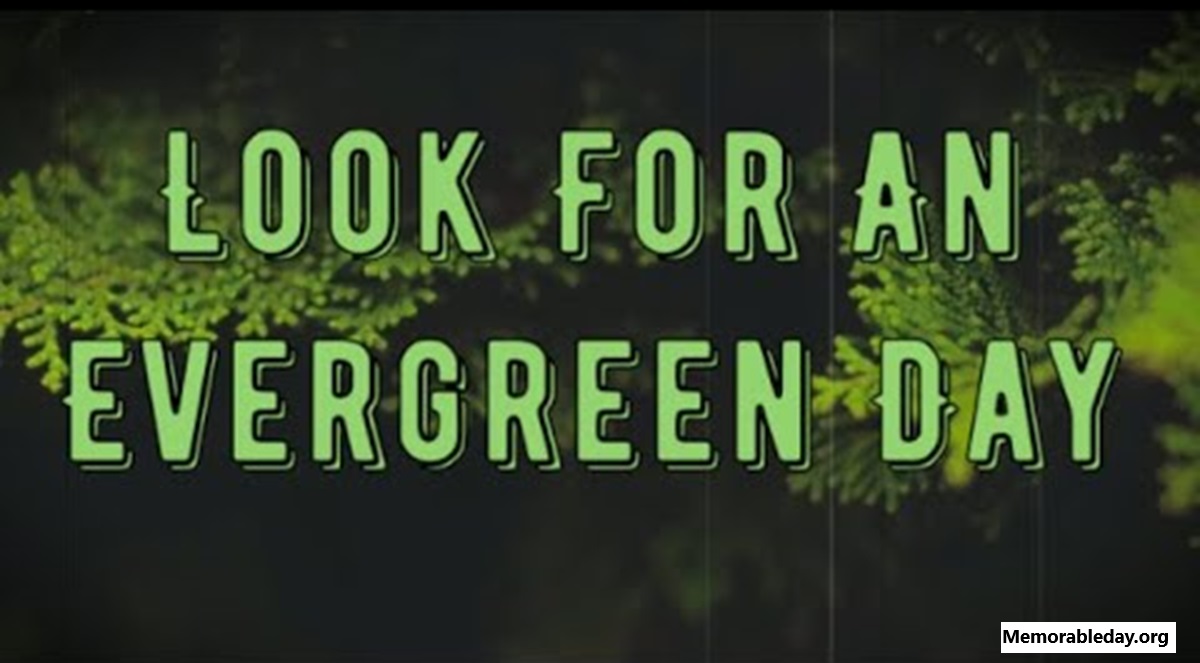 Look for an Evergreen Days