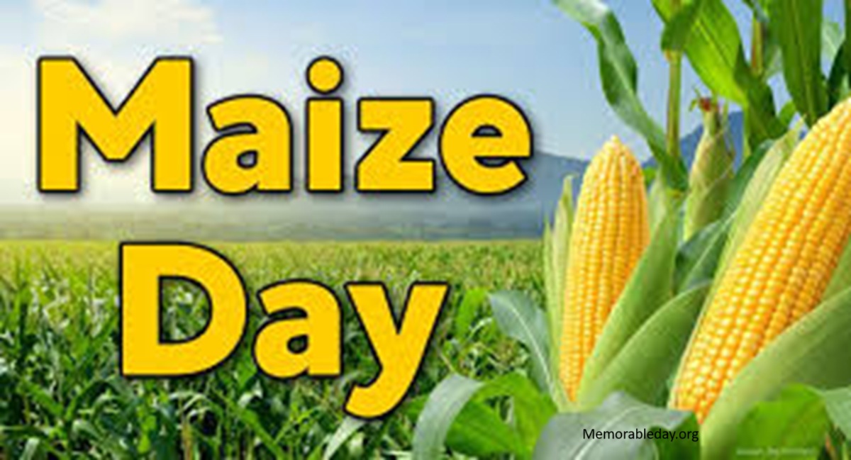 Maize Day