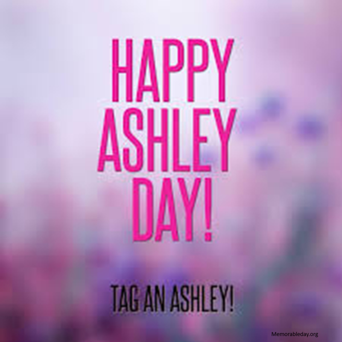 National Ashley Day