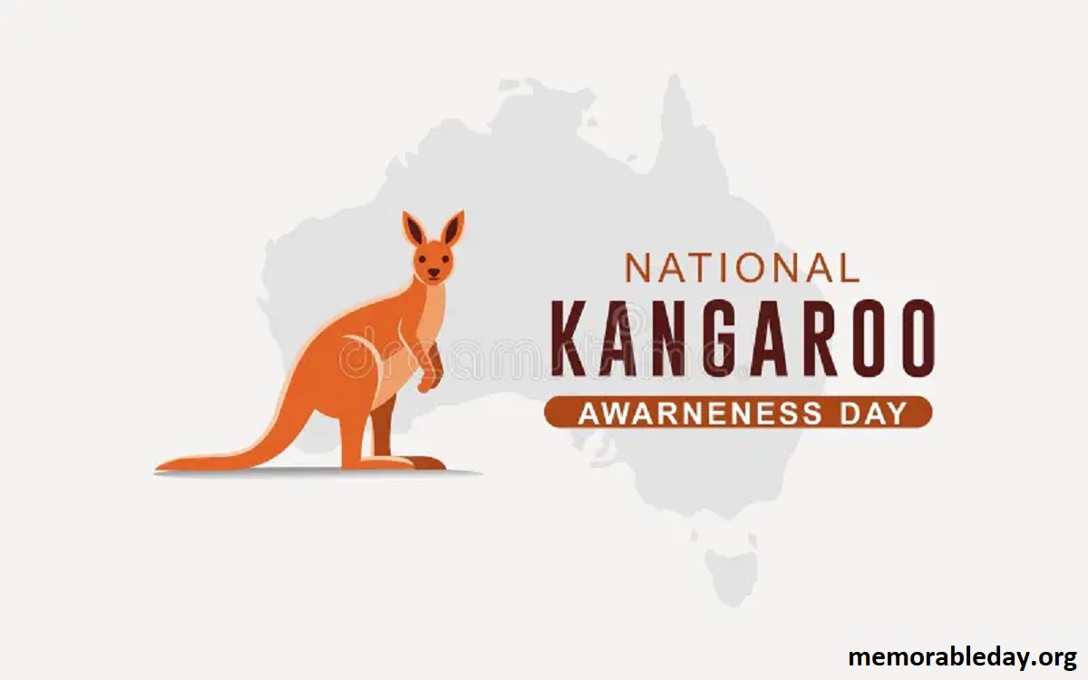 National Kangaroo Awareness Day Pic