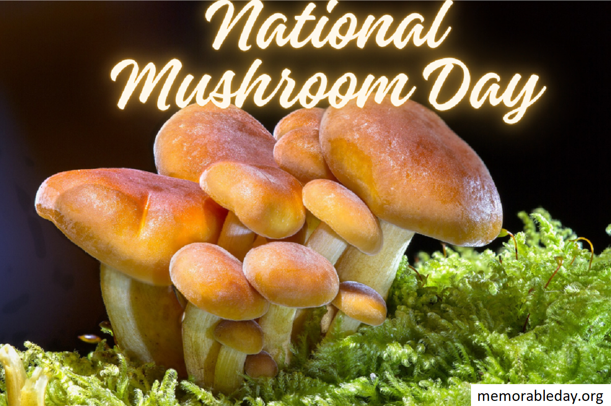 National Mushroom Day Pic