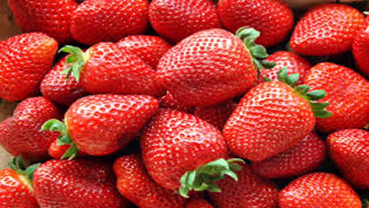 National Pick Strawberries Day