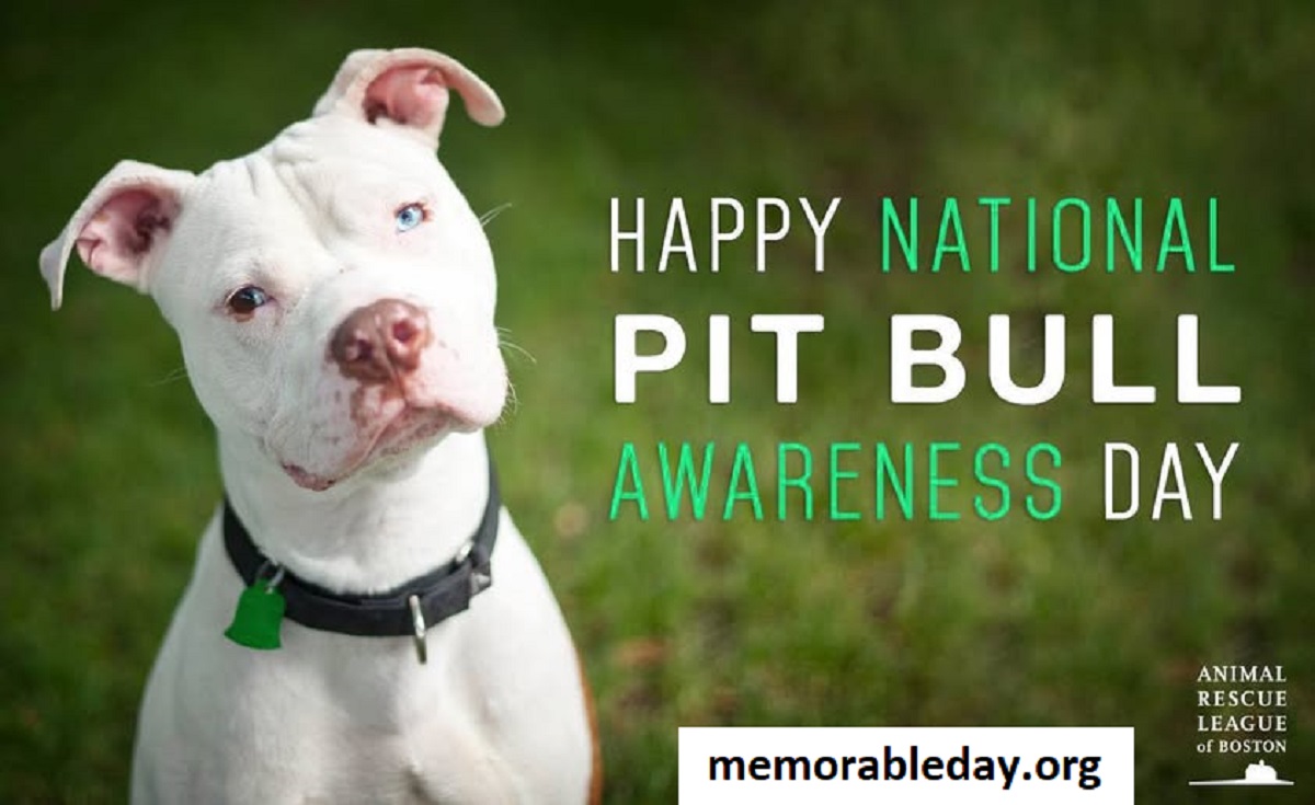 National Pitbull Awareness Day Pic