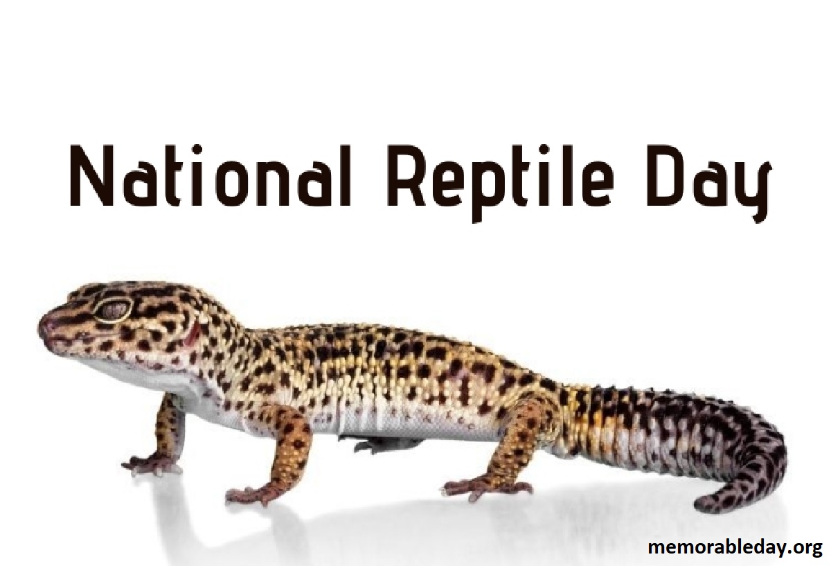 National Reptile Day Pic